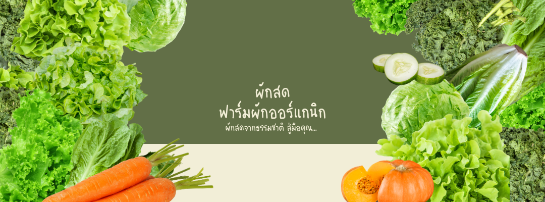 ผักสด ฟาร์มผักออร์แกนิก จากธรรมชาติสู่มือคุณ